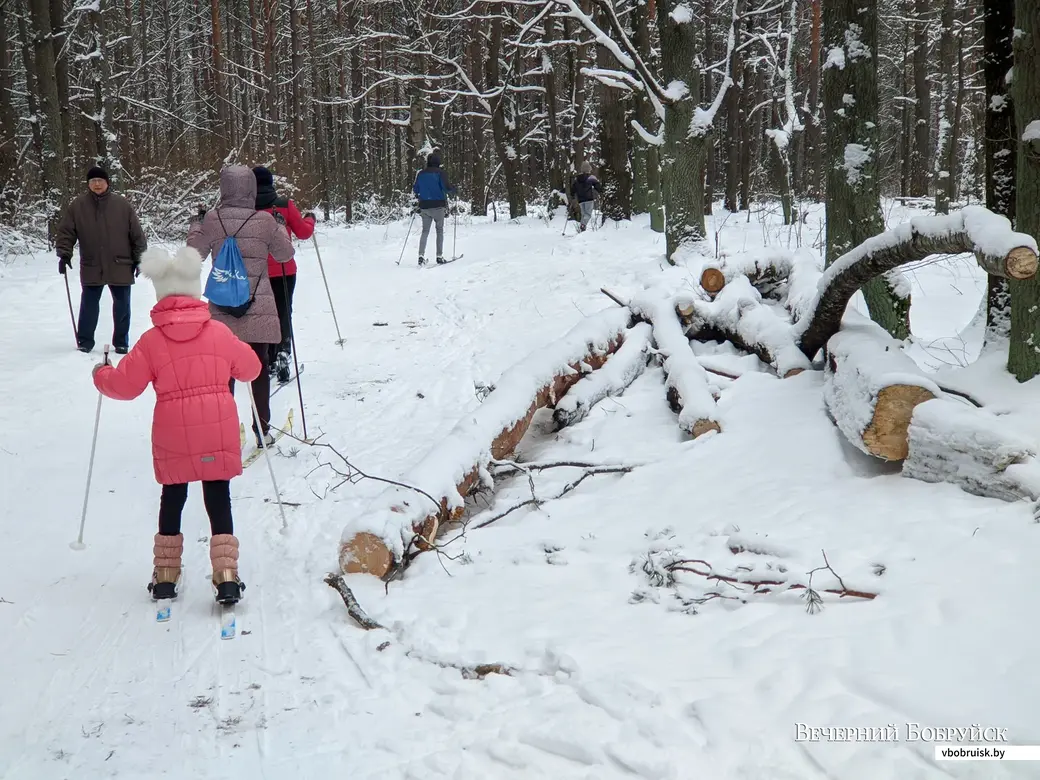 23.01.2022, Бобруйск. Лыжная трасса в лесопарковой зоне у санатория «Шинник»