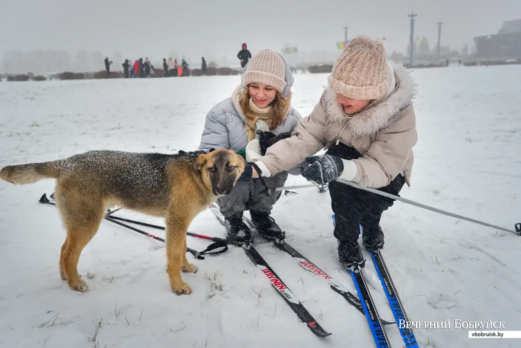 29.01.2022. Бобруйск. Городской зимний спортивный праздник
«Бобруйская лыжня - 2022»