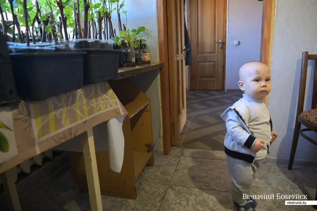 Роднее родного. Пенсионеры Дмитрий Дмитриевич и Зинаида Ивановна приобрели внуков Артема и Алену, а те подарили им правнуков.