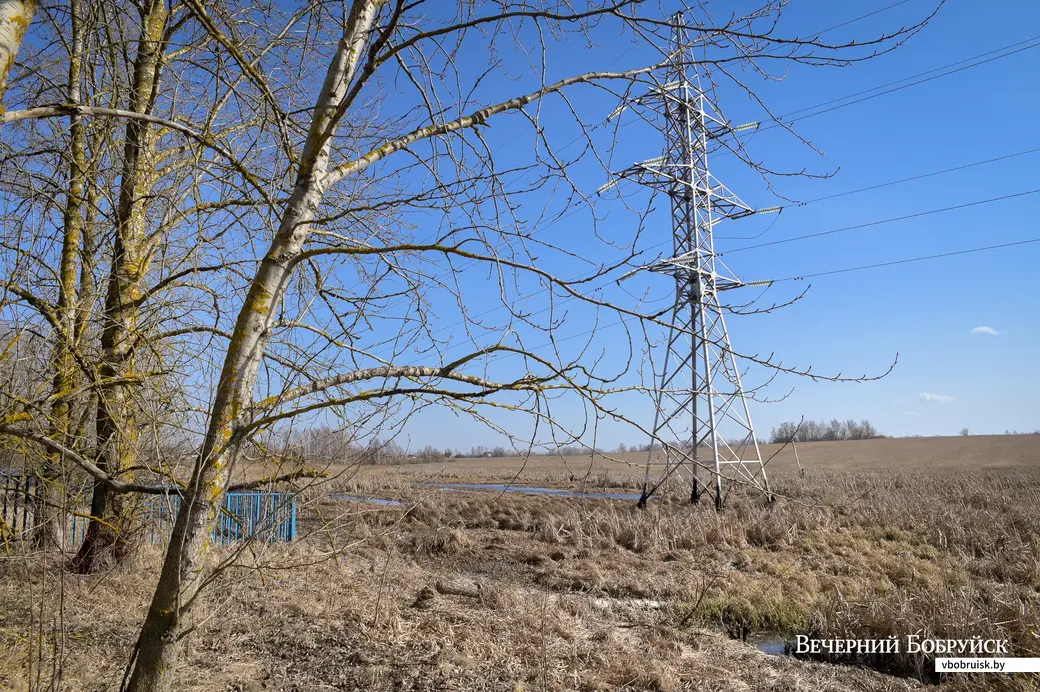 28.03.2022. Бобруйск. Дедново. Пойма Бобруйки. Жедезнодорожная ветка на Рабкор