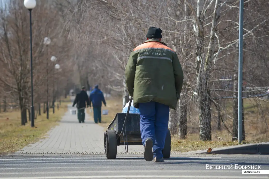 28.03.2022. Бобруйск. Дедново. Пойма Бобруйки. Жедезнодорожная ветка на Рабкор