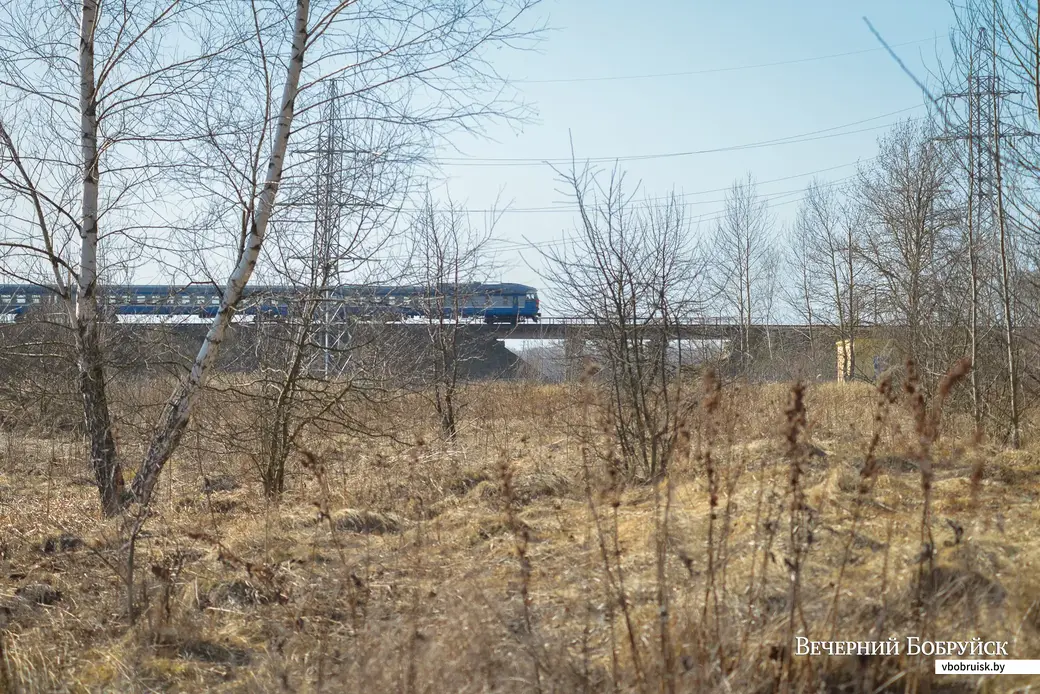 28.03.2022. Бобруйск. Дедново. Пойма Бобруйки. Жедезнодорожная ветка на Рабкор
