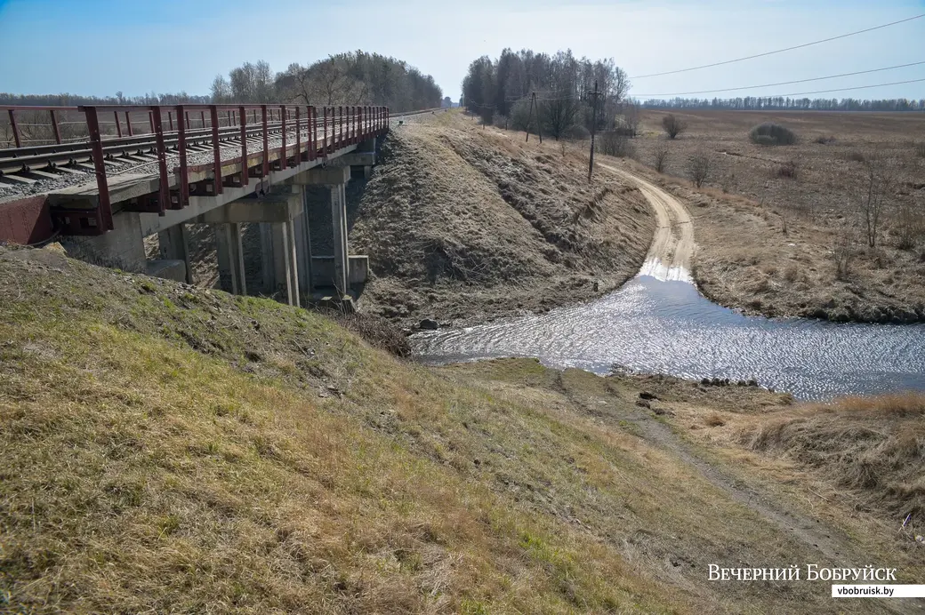28.03.2022. Бобруйск. Дедново. Пойма Бобруйки. Жедезнодорожная ветка на Рабкор