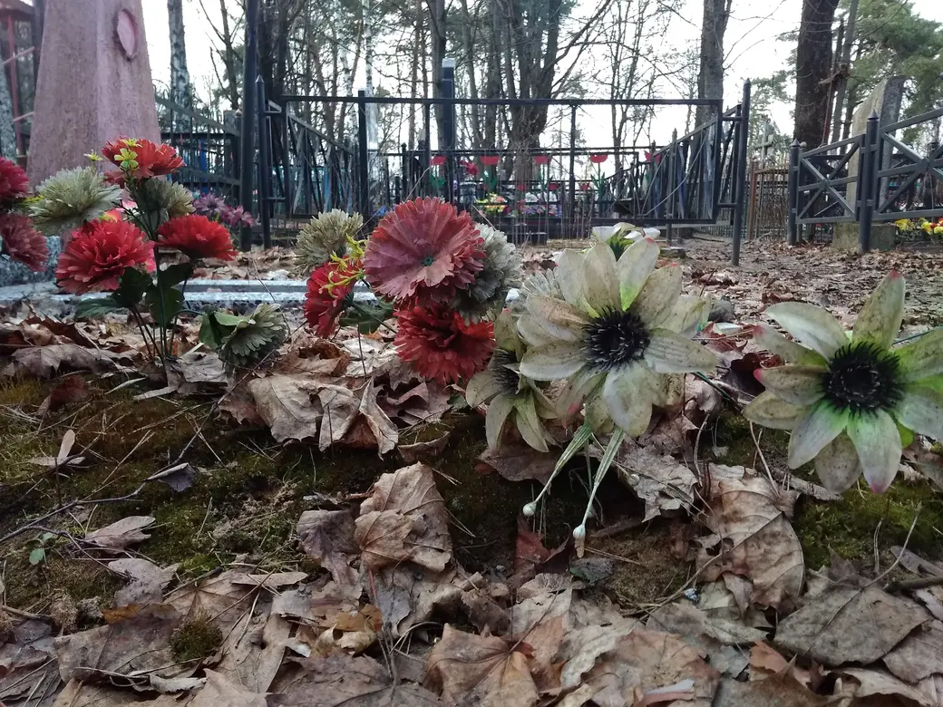 Фото предоставлено Сергеем Борбутом.
