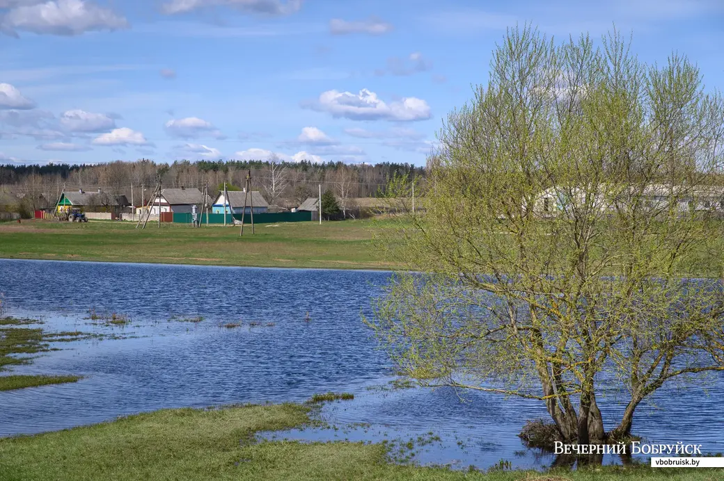 27.04.2022. Сычковский сельский Совет. Река Волчанка в районе Вербков