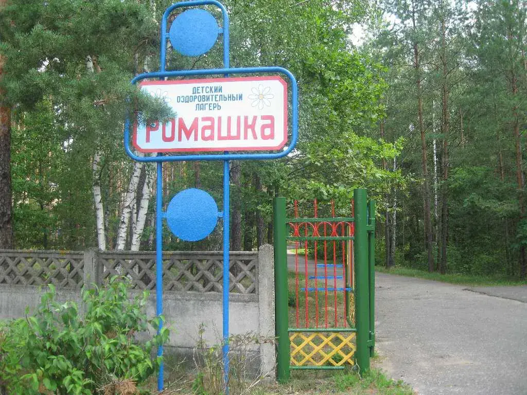 Детский оздоровительный лагерь «Ромашка» в Бобруйском районе выставлен на аукцион.