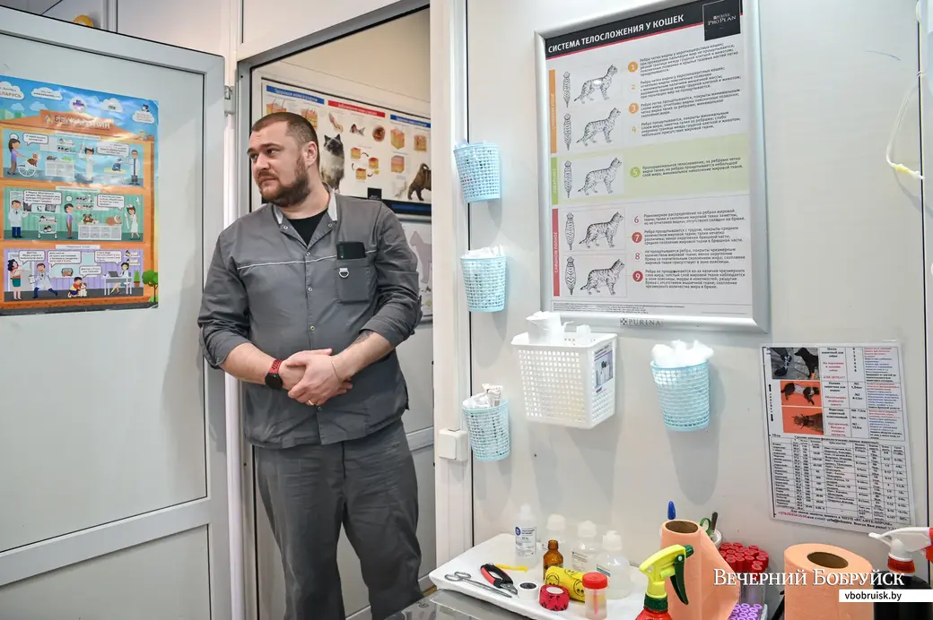 Бобруйск. Ветеринарная клиника «Век». Врач-ветеринар Кирилл Праснаков