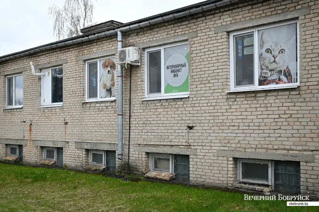 Бобруйск, ул. Комарова, 1. Ветеринарная клиника «Век».