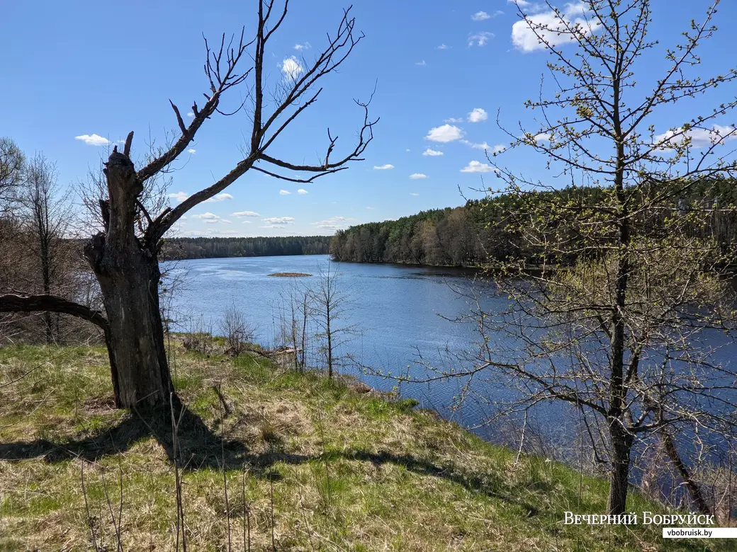 30.04.2022. Лапичский сельский Совет. Вело-ПВД по дороге Магдалены Радзивилл (от ст.Уборок до ст. Завишье)