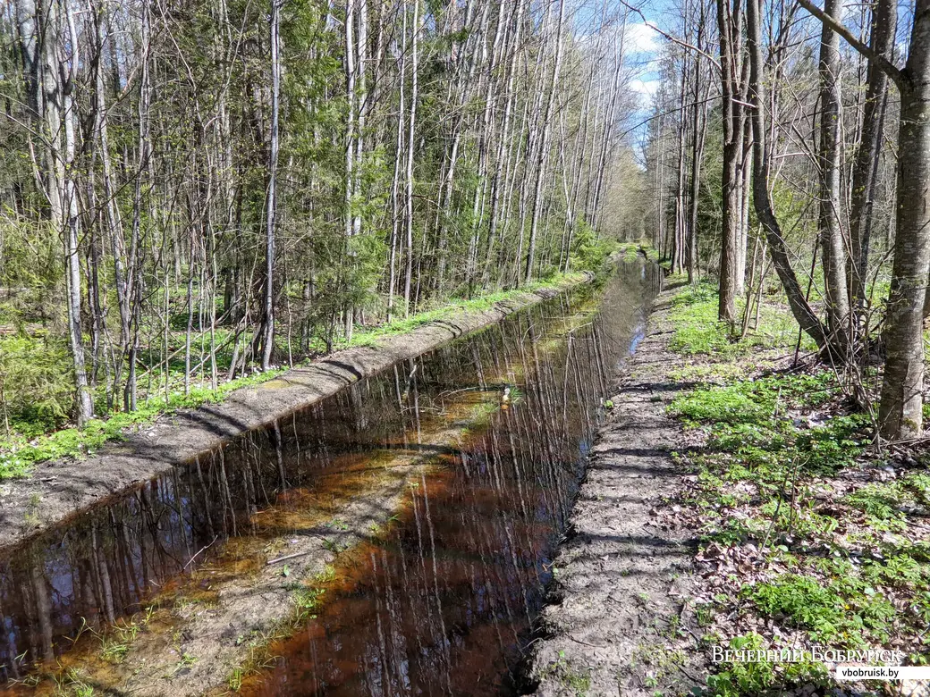 30.04.2022. Липенский сельский Совет. Вело-ПВД по дороге Магдалены Радзивилл (от ст.Уборок до ст. Завишье)