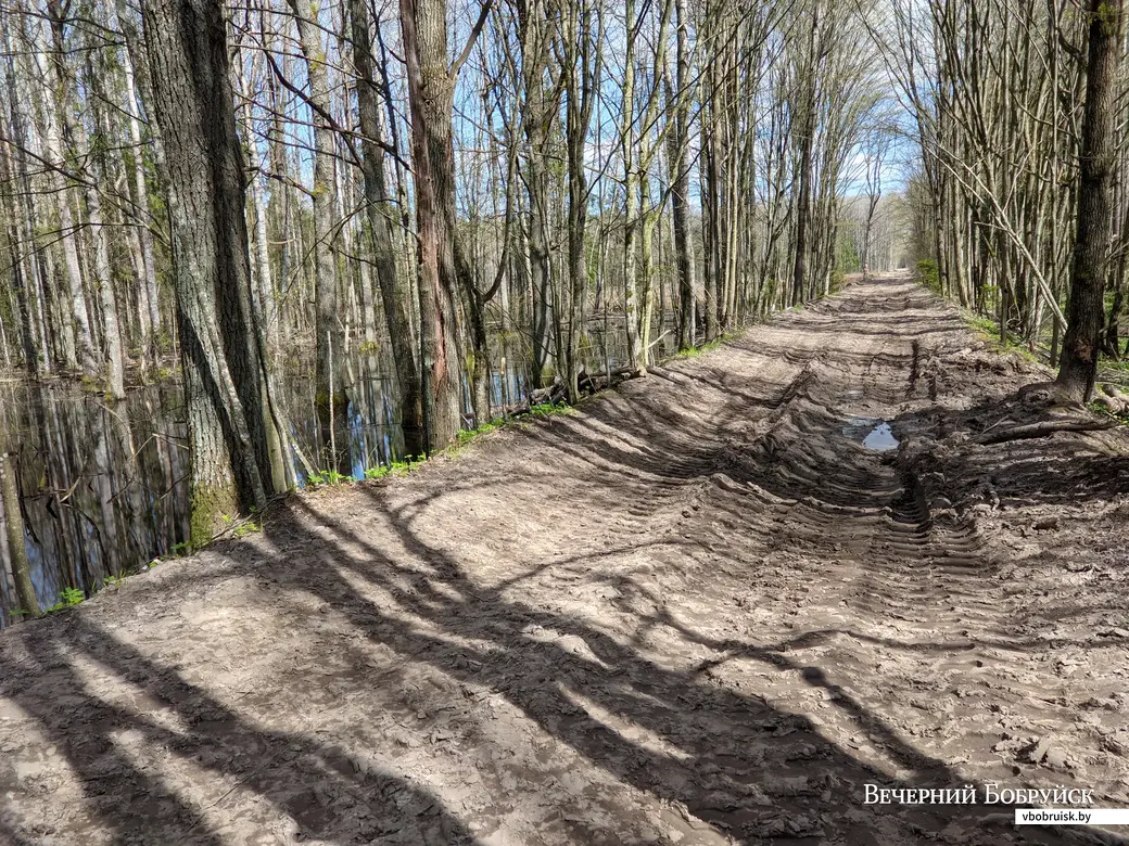 30.04.2022. Липенский сельский Совет. Вело-ПВД по дороге Магдалены Радзивилл (от ст.Уборок до ст. Завишье)