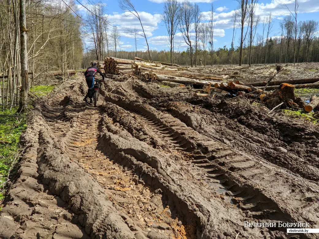 30.04.2022. Липенский сельский Совет. Вело-ПВД по дороге Магдалены Радзивилл (от ст.Уборок до ст. Завишье)