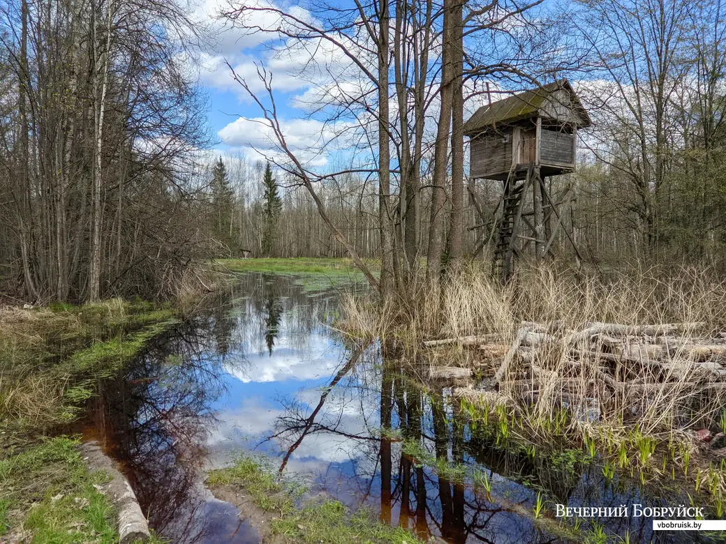 30.04.2022. Липенский сельский Совет. Вело-ПВД по дороге Магдалены Радзивилл (от ст.Уборок до ст. Завишье)
