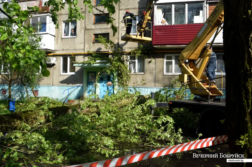 12.05.2022,Бобруйск. Дерево упало на жилой дом (ул. Минская, 93). Газовую трубу спасли.