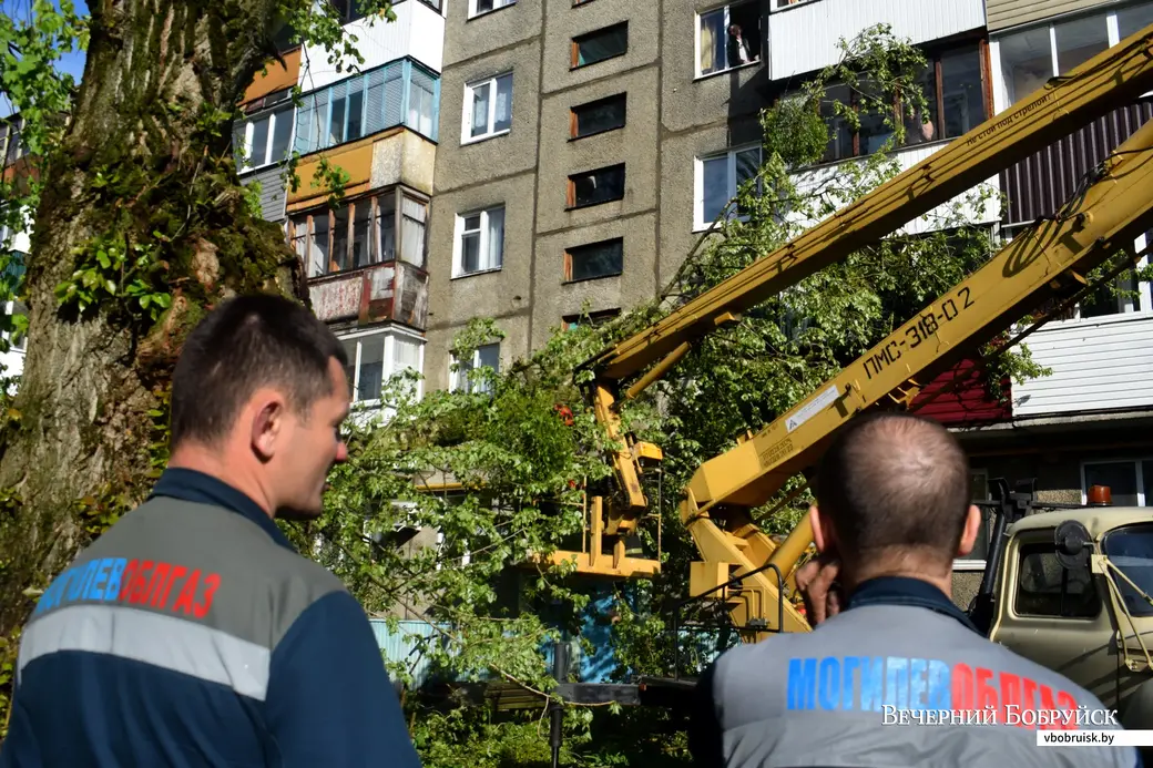 12.05.2022,Бобруйск. Дерево упало на жилой дом (ул. Минская, 93). Под угрозой оказался газопровод.
