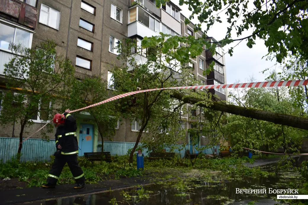 12.05.2022,Бобруйск. Дерево упало на жилой дом (ул. Минская, 93)