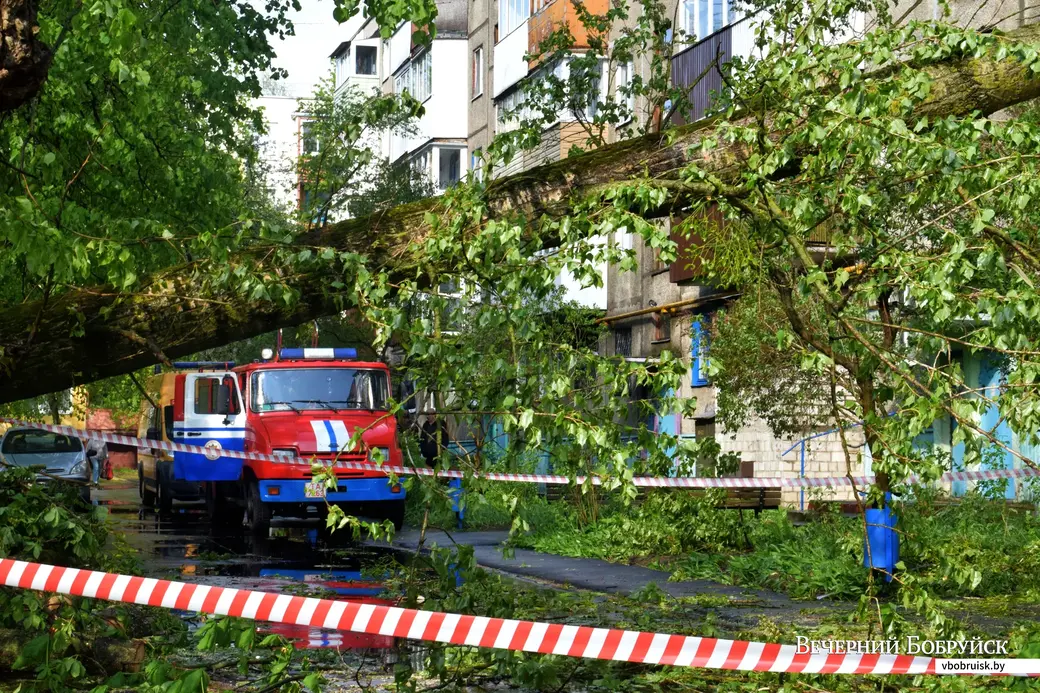 12.05.2022,Бобруйск. Дерево упало на жилой дом (ул. Минская, 93)