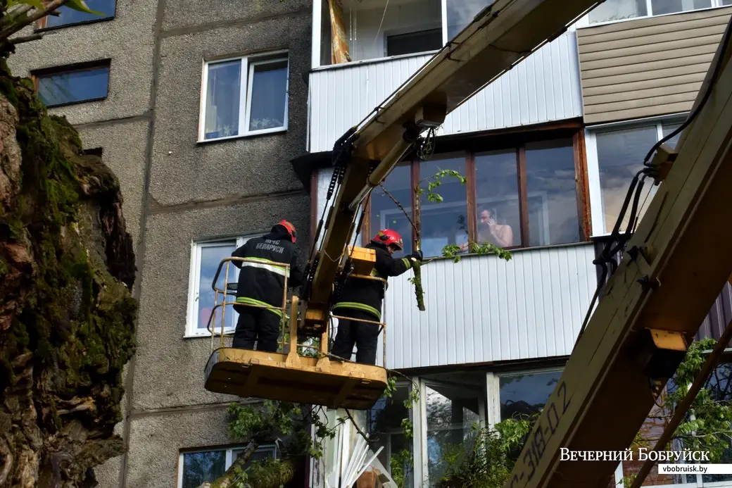 12.05.2022,Бобруйск. Дерево упало на жилой дом (ул. Минская, 93)