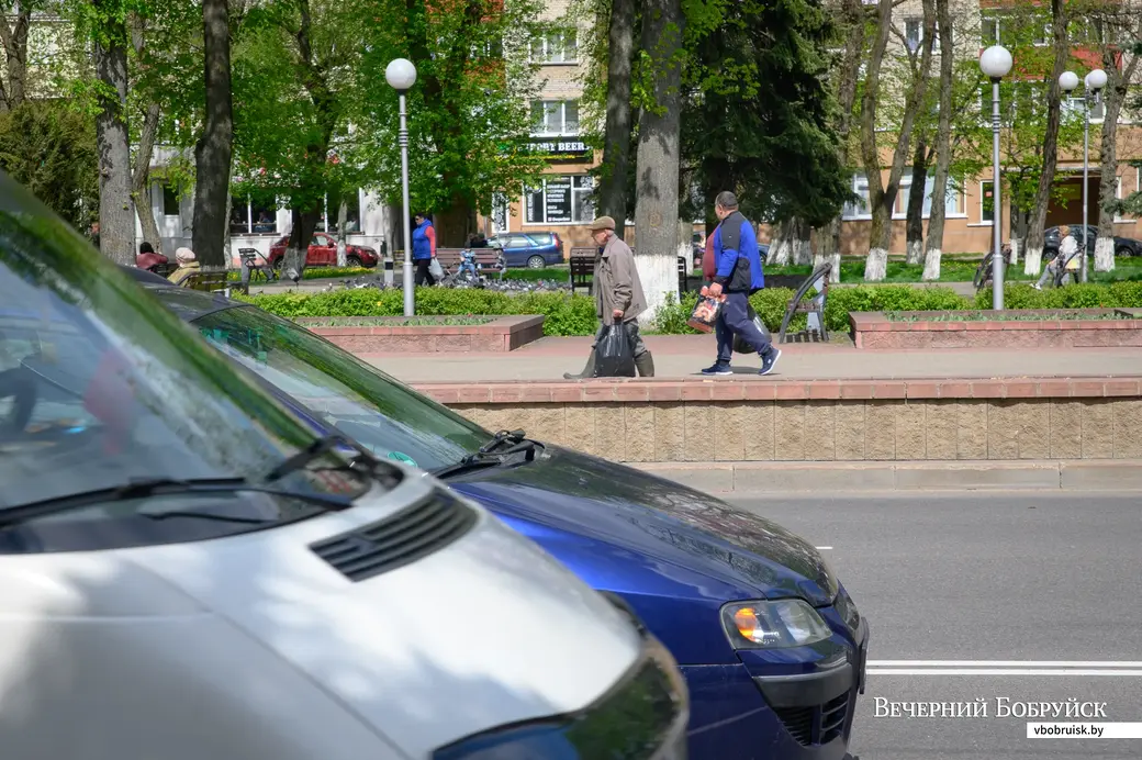13.05.2022. Бобруйск. Коммунальные службы спилили ели в сквере