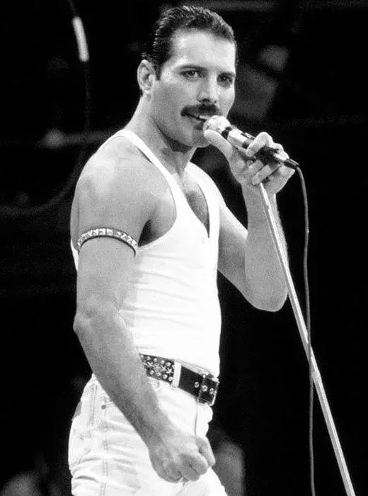 В 1985 году концерт Queen на стадионе «Уэмбли» стал их триумфом, и тогда же Меркьюри узнал свой диагноз.