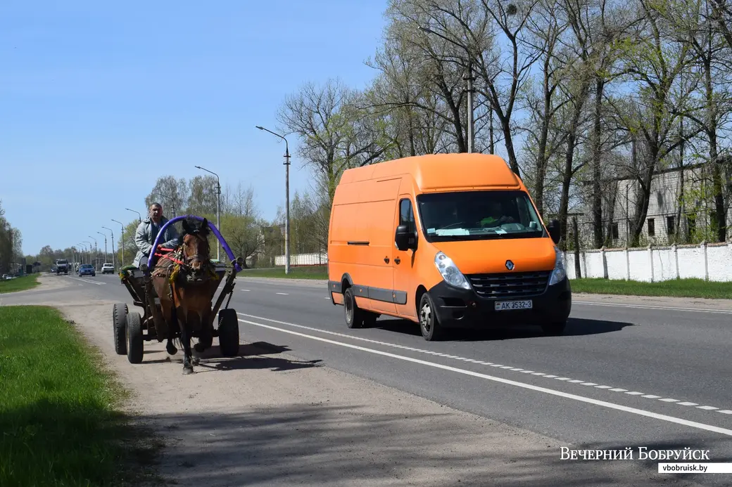 5.05.2022, Бобруйск. Домашнее животное – конь. Вместо мотоблока и автомобиля, для души