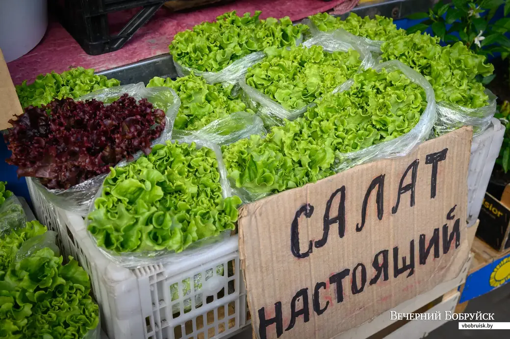17.06.2022. Бобруйск. Торговля овощами на рынке (улица Красноармейская)