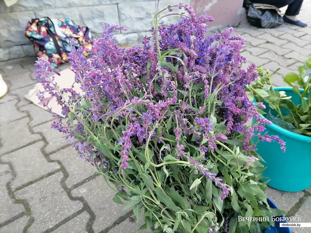 24.06.2022. Бобруйский «Северный рынок».