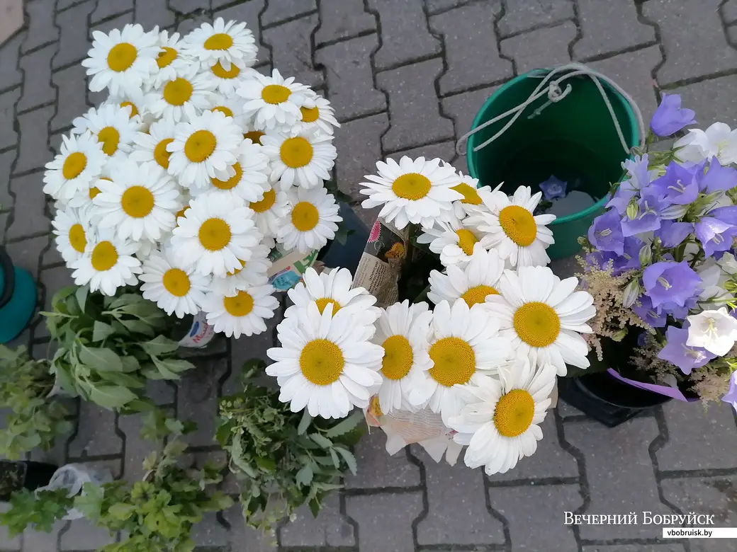 24.06.2022. Бобруйский «Северный рынок».