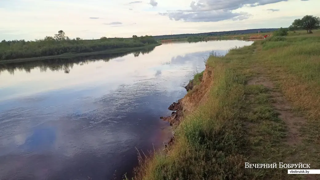 Березина, район «гусиного луга».