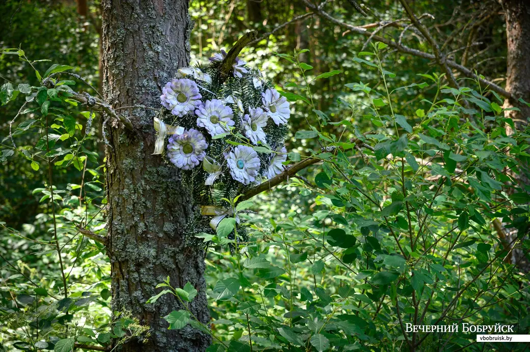 02.07.2022. Глушанский сельский Совет. Жители деревни Евсеевичи Глусского района отправились к местам захоронений на месте сожженых деревень в урочищах Белые, Парщаха,