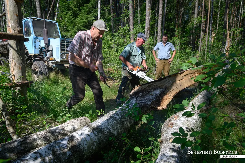 02.07.2022. Глушанский сельский Совет. Жители деревни Евсеевичи Глусского района отправились к местам захоронений на месте сожженых деревень в урочищах Белые, Парщаха,