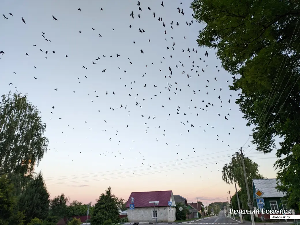 23.06.2022. Чаусы. Велопоход