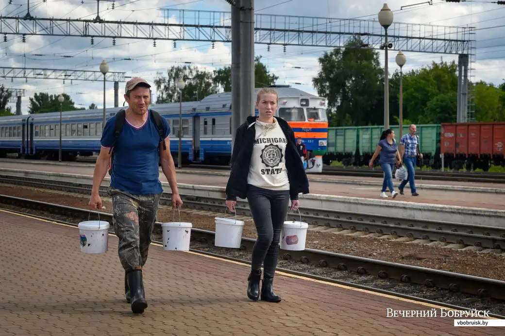19.07.2022. Бобруйск. Прием черники у населения на вокзале