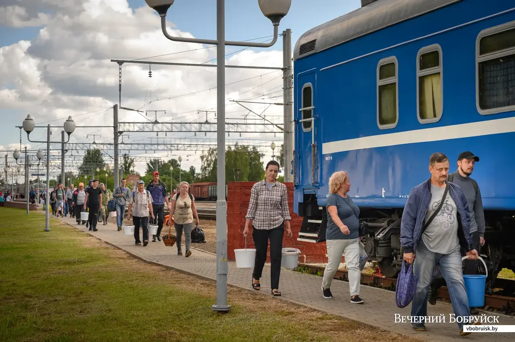 19.07.2022. Бобруйск. Прием черники у населения на вокзале