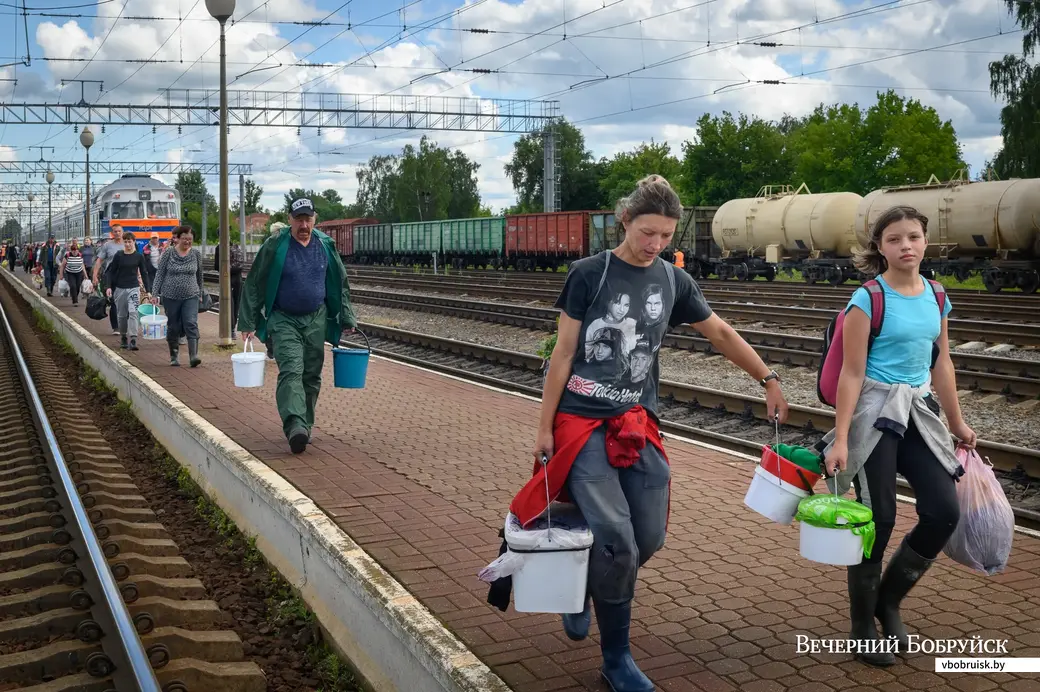 19.07.2022. Бобруйск. Прием черники у населения на вокзале