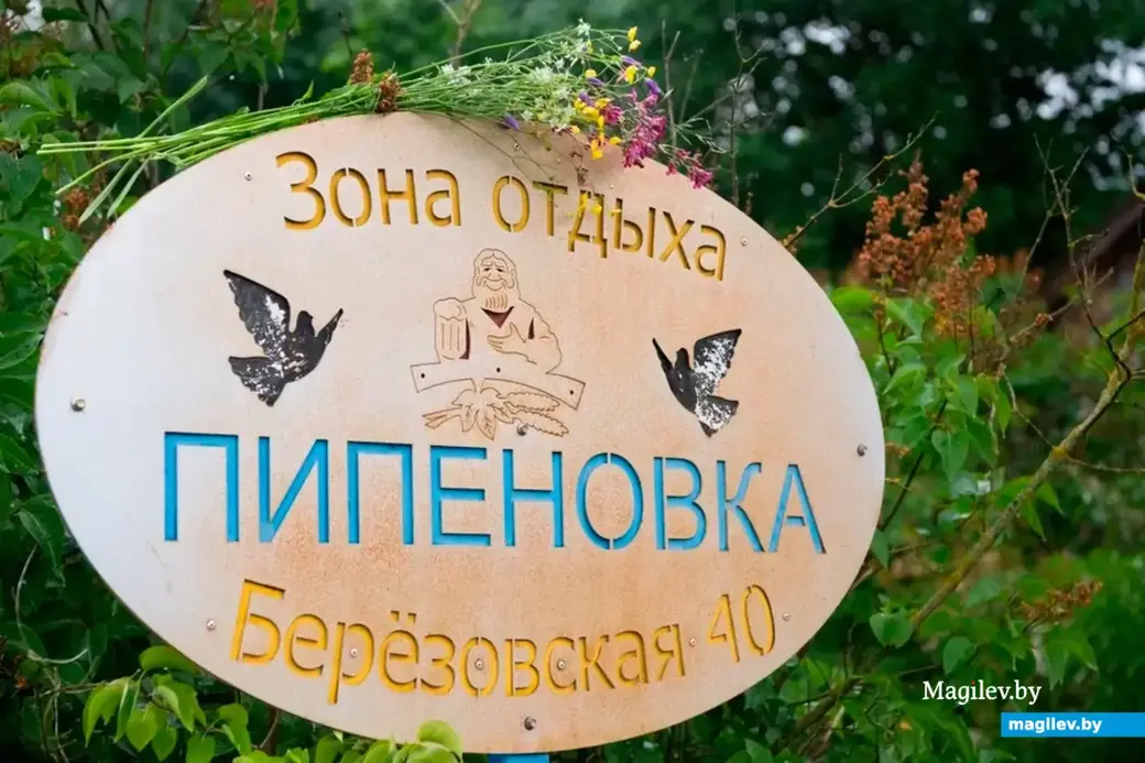 Зона отдыха «Пипеновка»: Могилевский район, деревня Березовка, улица Березовская, дом 40, кв.1. Июнь 2022 год.
