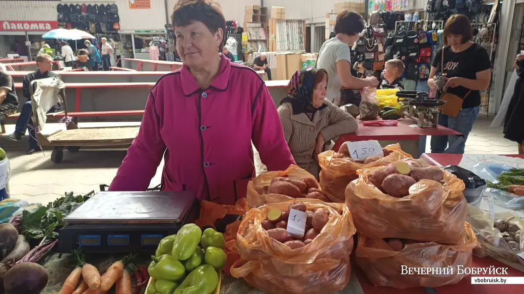 Татьяна из Вишневки продает красный картофель сорта "Палац" белорусской селекции..