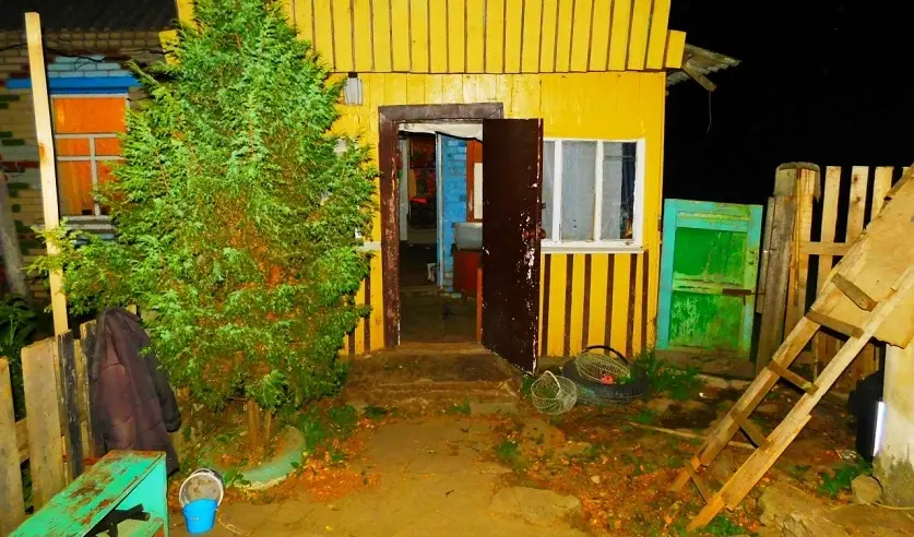В Кричеве пьяный супруг зарезал жену в присутствии гостей и своих малолетних детей. Фото: СК.