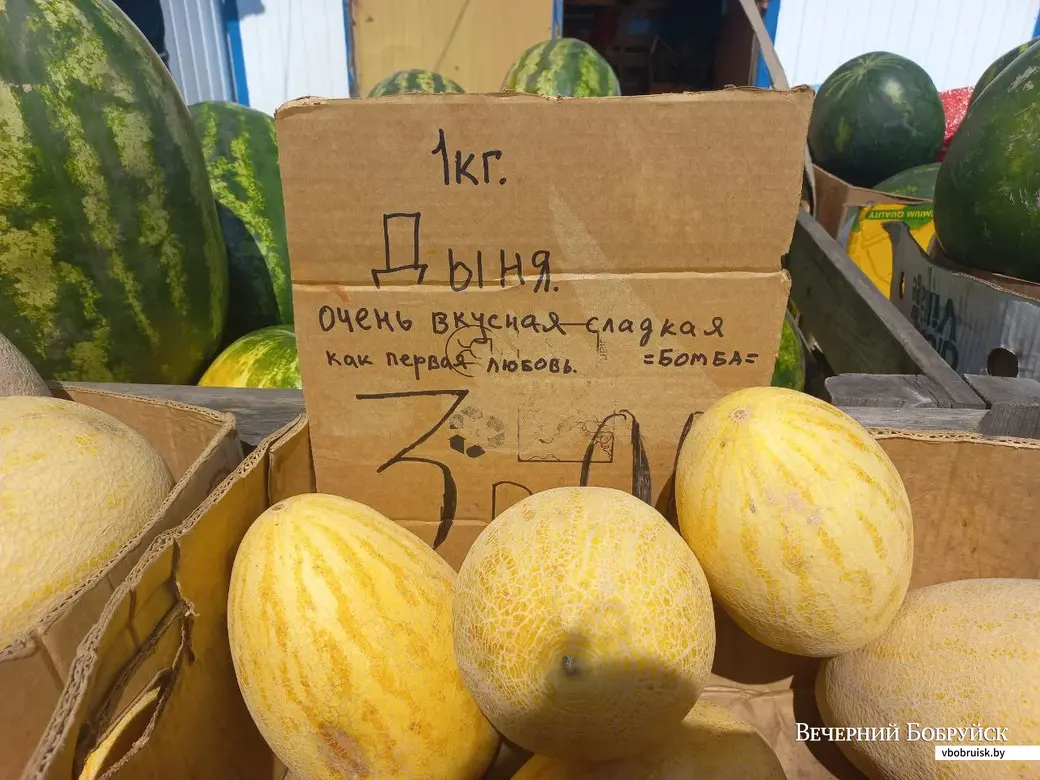 11.08.2022. Бобруйск, рынок «Северный». Поэтичные ценники на дагестанские дыни.