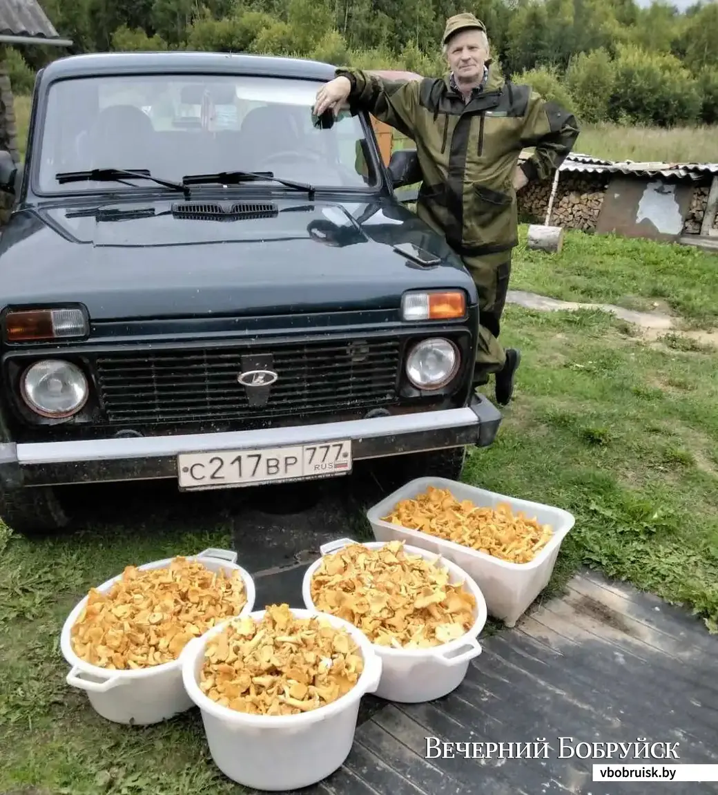 Фото Михаила Баранова и Натальи Логиновой из Городокского района Витебской области.