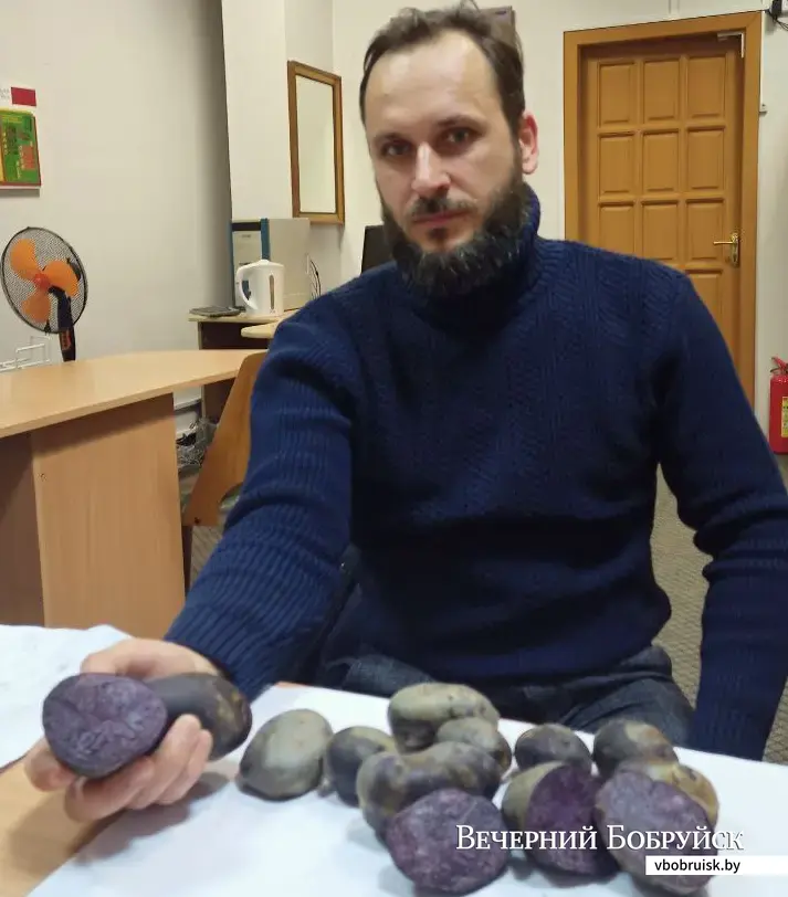 Юрий Карпенко в редакции «ВБ» со своей картошкой.