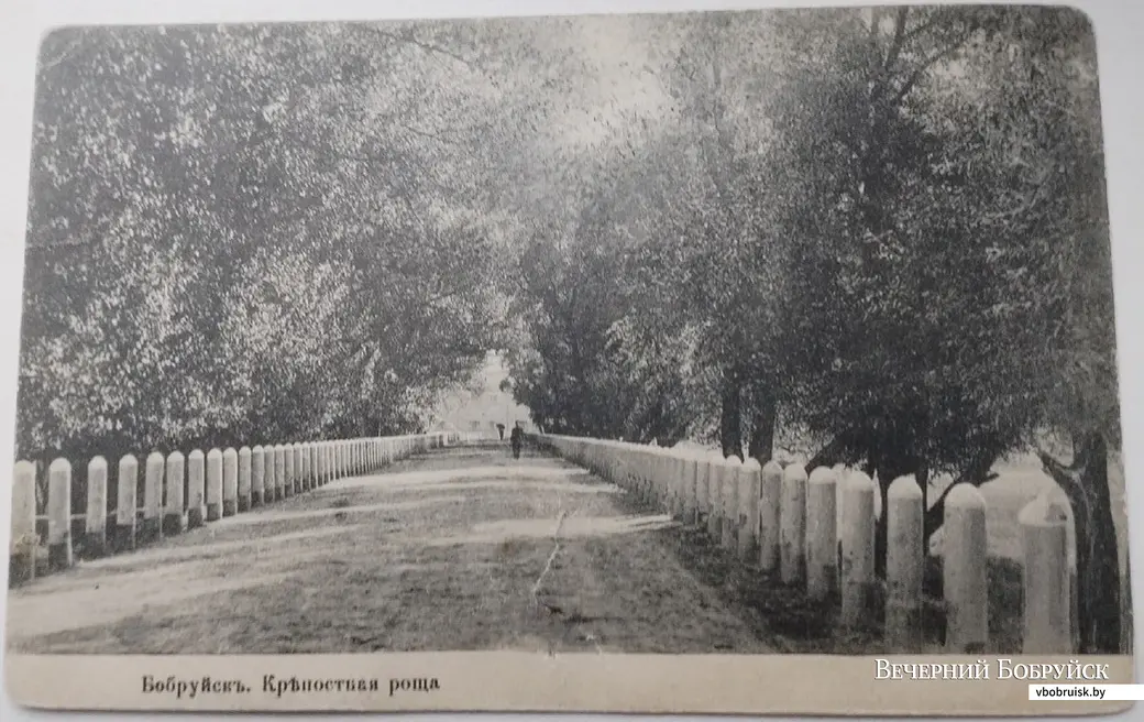 Iдэнтычны здымак з таго ж ракурсу, але падпісаны па іншаму – «Крэпасны гай». З калекцыі Віталя Мурашкевіча