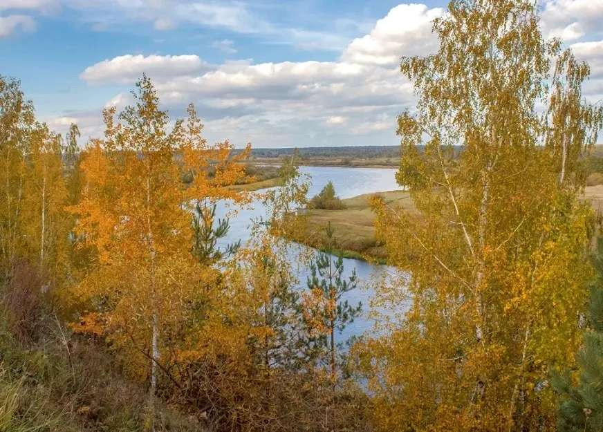 Воспоминания о прошедшей золотой осени. Фото: Юрий Куценко.