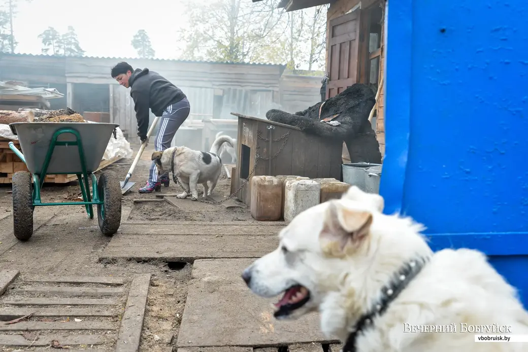 Ирина Ковалерова в приюте. Фото из архива ВБ.