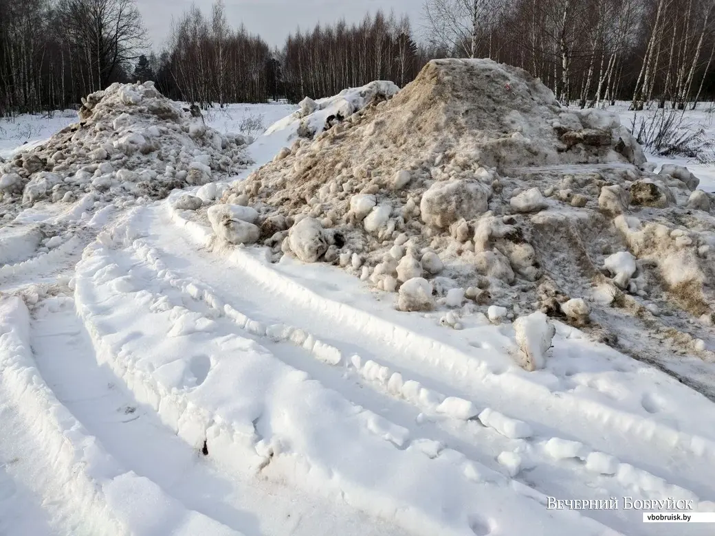 Бобруйск, 30 декабря 202 года. Несанкционированная свалка снега в лесопарке недалеко от перекрестка улиц Гагарина и Гоголя.