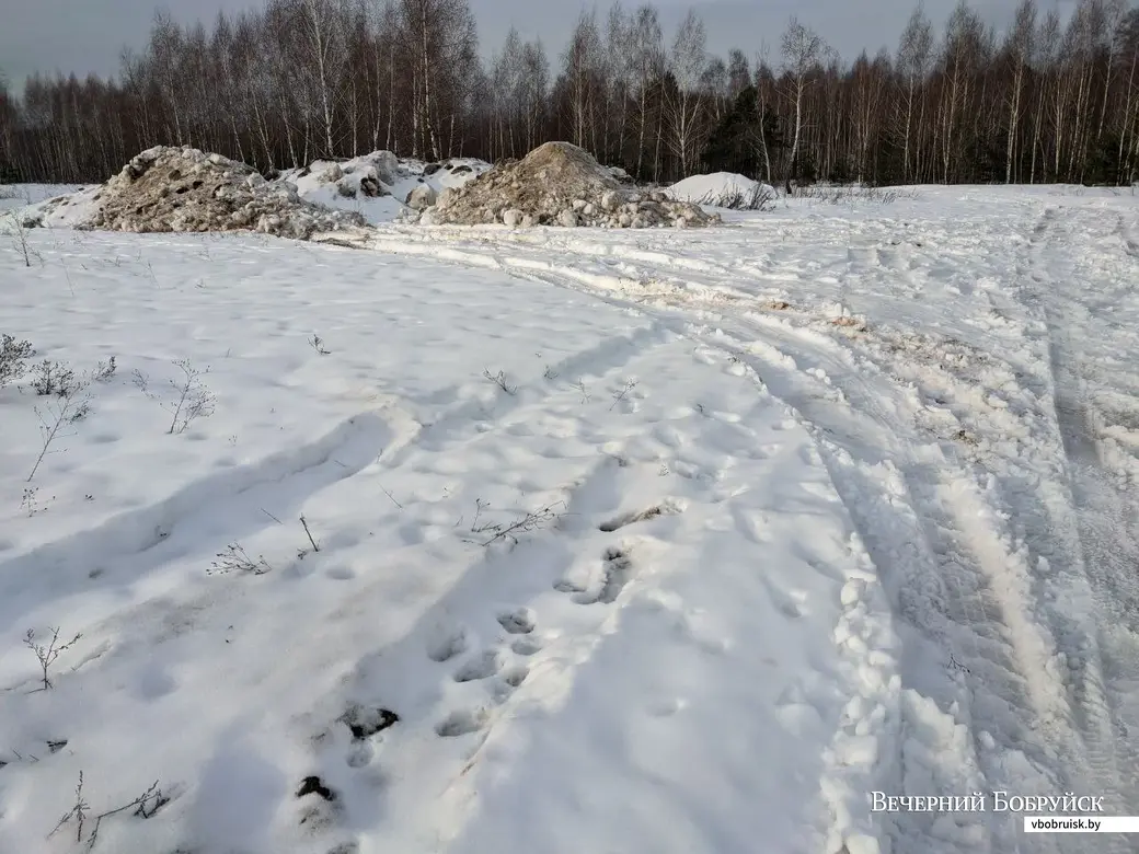 Бобруйск, 30 декабря 202 года. Несанкционированная свалка снега в лесопарке недалеко от перекрестка улиц Гагарина и Гоголя.