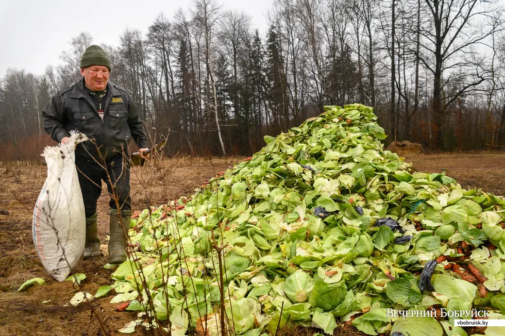 18.01.2023. Глушанский сельский Совет, Р34. В зимний период егерь Бобруйской районной организационной структуры РГОО «БООР» Михаил Шаламков регулярно привозит на