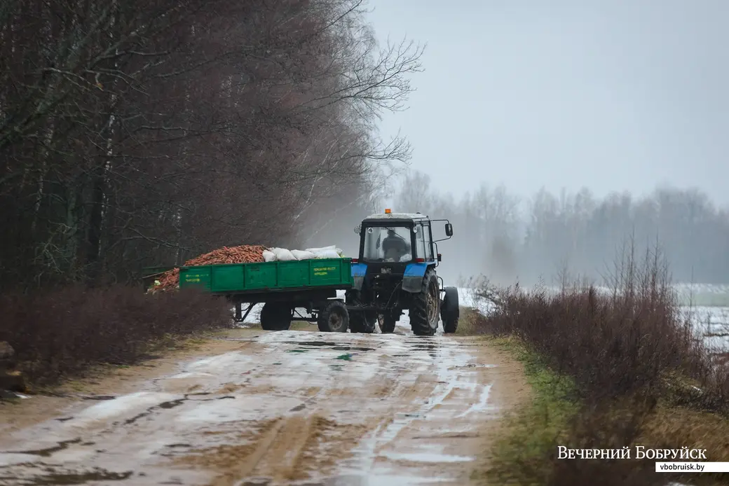 18.01.2023. Глушанский сельский Совет, Р43. В зимний период егерь Бобруйской районной организационной структуры РГОО «БООР» Михаил Шаламков регулярно привозит на