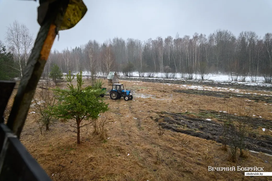 18.01.2023. Глушанский сельский Совет, Р43. В зимний период егерь Бобруйской районной организационной структуры РГОО «БООР» Михаил Шаламков регулярно привозит на