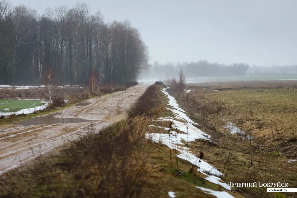18.01.2023. Глушанский сельский Совет, Р43. В зимний период егерь Бобруйской районной организационной структуры РГОО «БООР» Михаил Шаламков регулярно привозит на